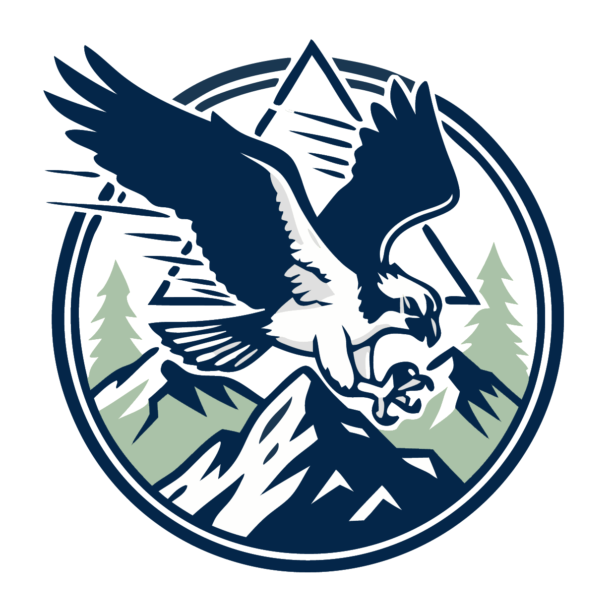 OspreyStrike logo
