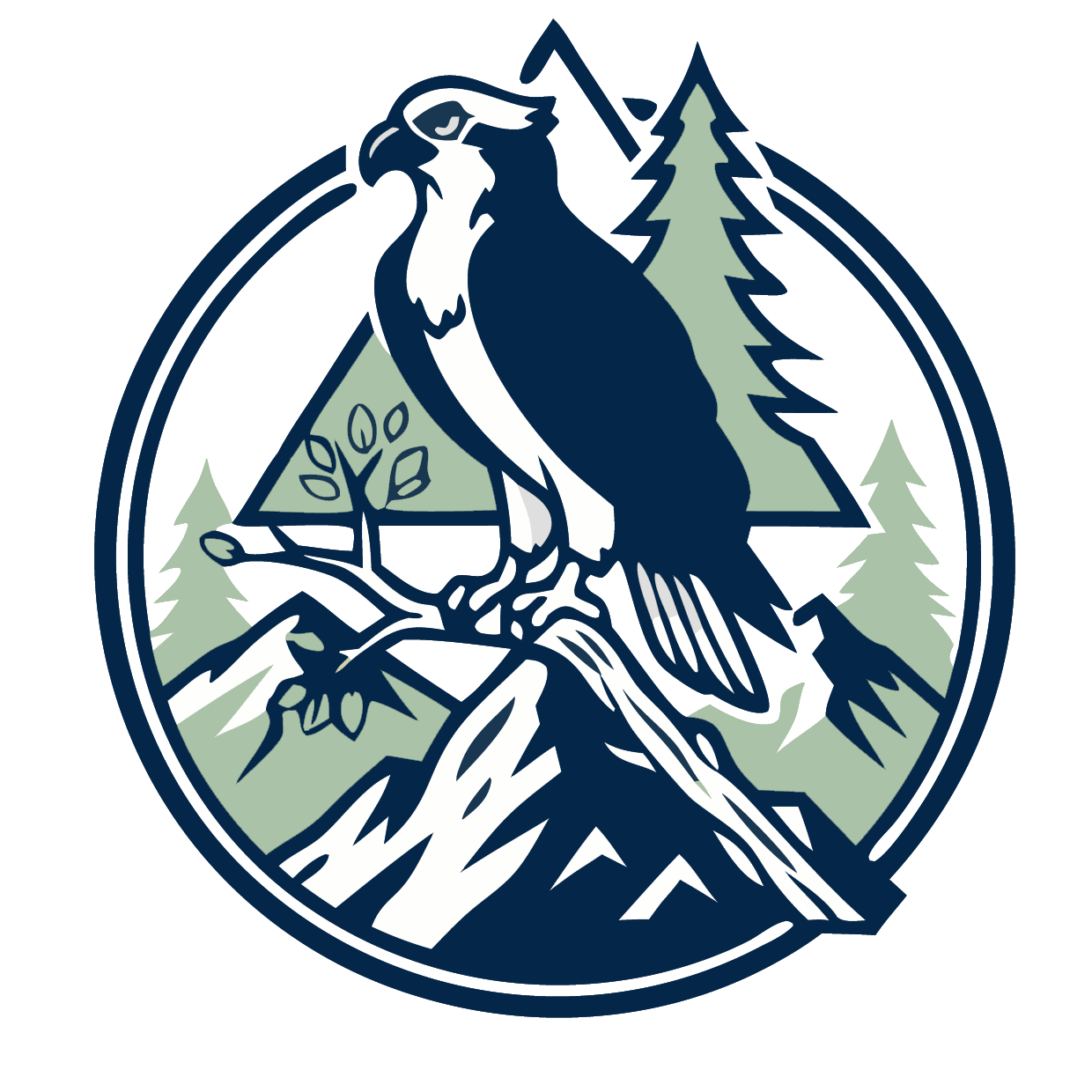 OspreyVantage logo
